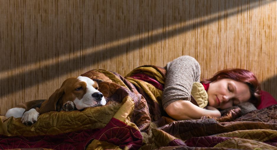 To Duvet Or Not To Duvet, That Is The Question.